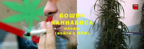 стаф Володарск