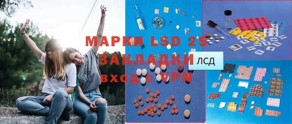 стаф Володарск