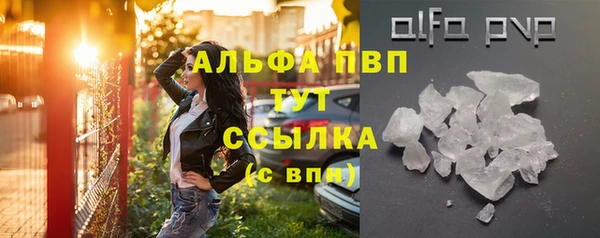 стаф Володарск